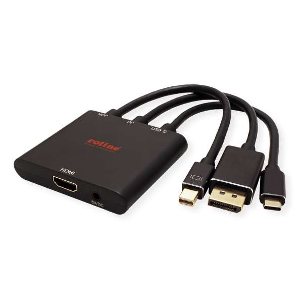 ROLINE Videoadapter - DisplayPort, Mini DisplayPort, 24 pin USB-C männlich zu power DC jack, HDMI we