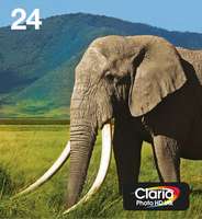 Epson 24 Multipack Easy Mail Packaging - 6er-Pack