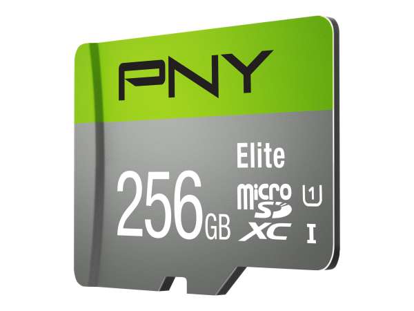 PNY Elite - Flash-Speicherkarte - 256 GB - A1 / Video Class V10 / UHS Class 1 / Class10